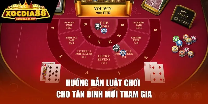 Hướng dẫn luật chơi cho tân binh mới tham gia